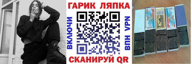 ГАШ Изолятор Обь