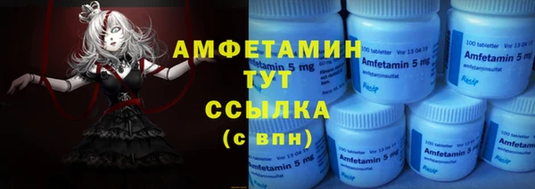 индика Горно-Алтайск