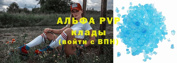 индика Горно-Алтайск