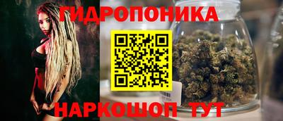 СК Жуковский