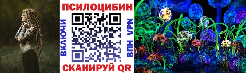 Псилоцибиновые грибы прущие грибы  Обь 